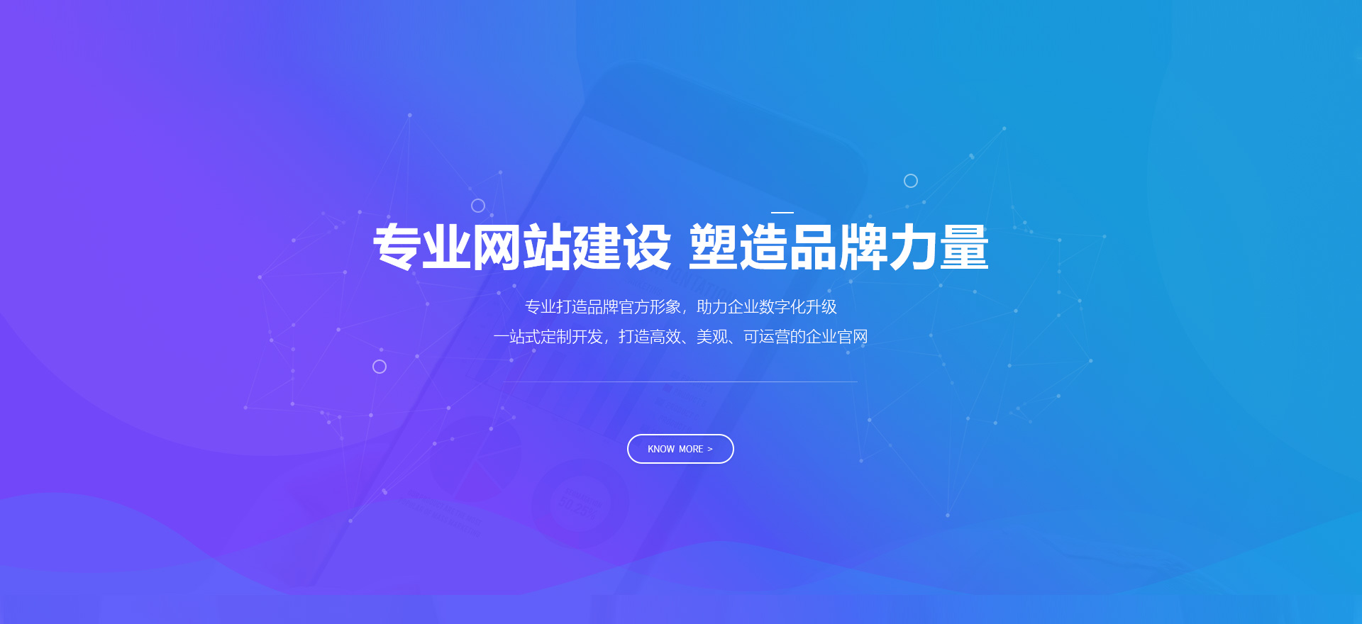 东兴建站-专业网站建设 塑造品牌力量