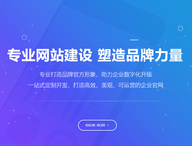 东兴建站-专业网站建设 塑造品牌力量